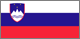 Словения Flag